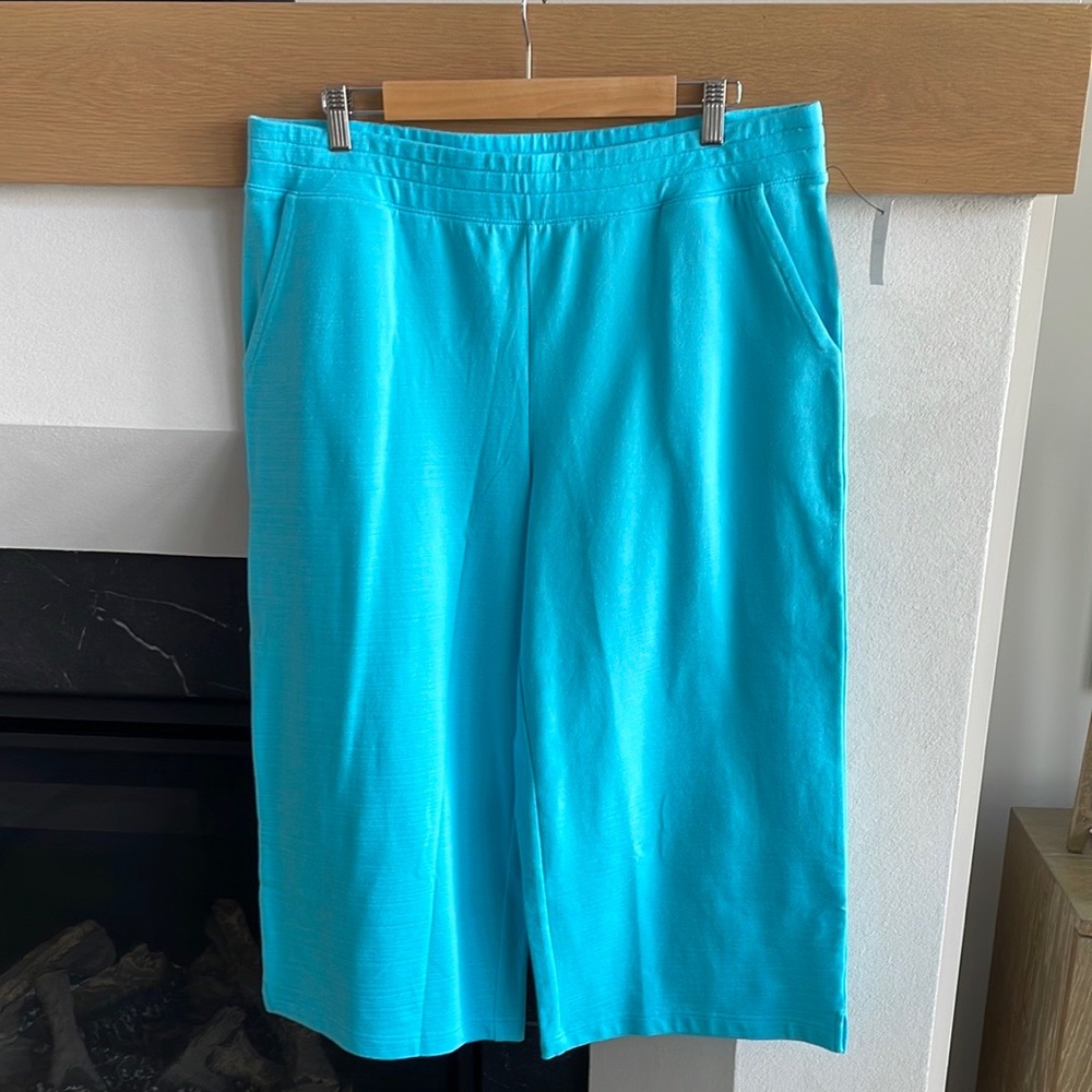 Talbots Petites Wide Leg Cropped Pants NWT
